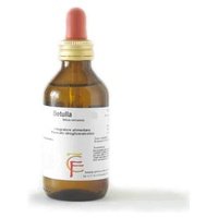 Abedul 100 ml - Centofiori