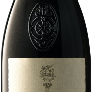 Domini Veneti Valpolicella Superiore Verjago 2021