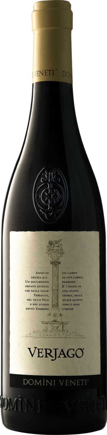 Domini Veneti Valpolicella Superiore Verjago 2021