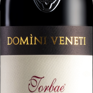 Domini Veneti Vigneti di Torbe Valpolicella Ripasso Superiore 2020