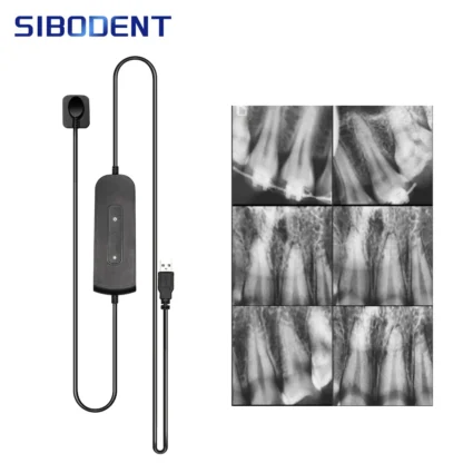 Sensor Dental con soporte, cámara Intra Oral, RVG Digital, USB, duradero, más rápido, reciclado