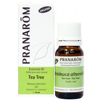 10 x Aceite esencial árbol de té Bio 10 ml de aceite esencial - Pranarom