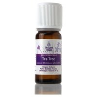 Aceite esencial de Árbol de Té 50 ml - Saint Hilaire - Helpac