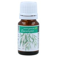 10 x Aceite Esencial de Eucalipto 10 ml - Plantis