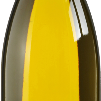Domaine Besson Chablis Premier Cru Montmains 2022