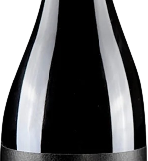 Domaine Bonnet Cotton Regnie 2022