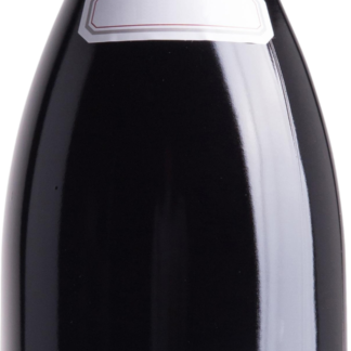 Meo-Camuzet Nuits-Saint-Georges 2020