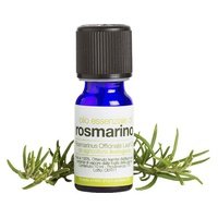 Aceite esencial de romero orgánico 10 ml de aceite esencial (Romero) - La Saponaria