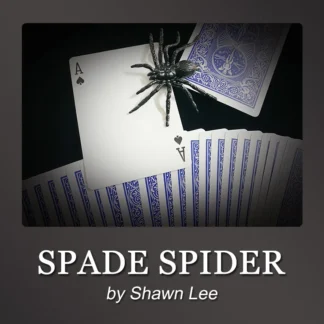 Pala araña de Shawn Lee, trucos de Magia, araña que desaparece, aparición, Magia, primer plano, tarjeta de broma de calle, ilusiones, accesorios de trucos
