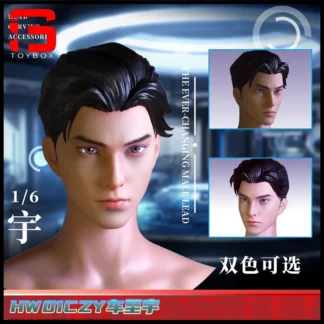 HW TOYS 1/6 escala moda guapo Che Zhi Yu cabeza esculpida soldado masculino cabeza tallada ajuste 12 ''figura de acción cuerpo muñeca