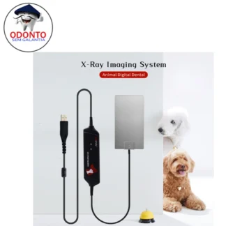 Odonto sem Galantia Veterinario Práctico Sensor RVG Tamaño 4 para animales Vegetales Uso Dental Sensor de Rayos X Sistema de Imagen Digital