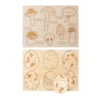 Juguete de rompecabezas de ciclo, ayuda para la enseñanza de ciencias, rompecabezas, juego de aprendizaje para niños, regalo de cumpleaños preescolar