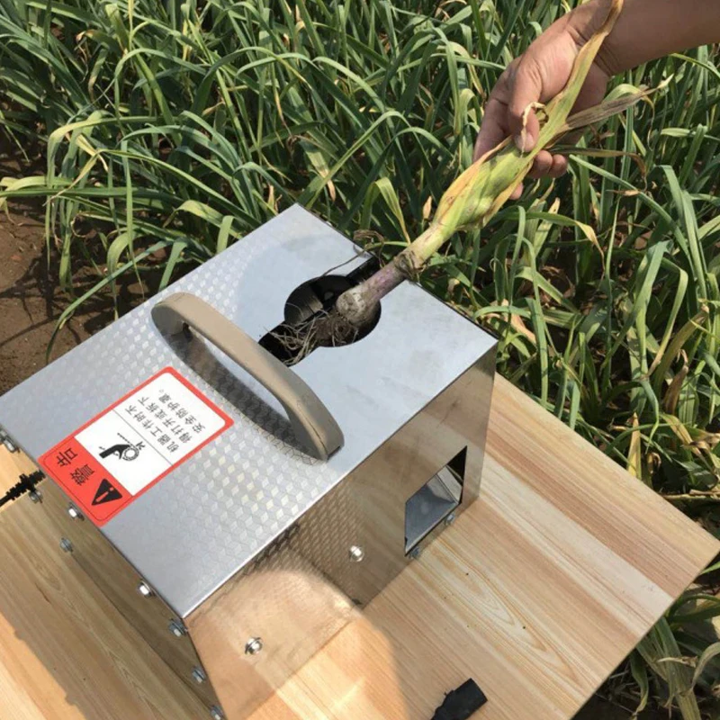 Máquina cortadora de raíces de ajo fresco eléctrico, vástago de ajo y cebolla, cortador de raíces, máquina cortadora de tallo de ajo de 48V
