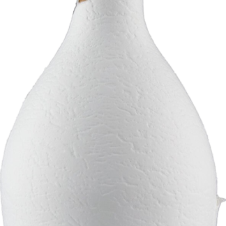 Champagne Ruinart Blanc de Blancs Second Skin
