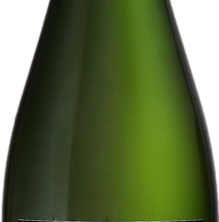 Champagne Michel Gonet Brut 6g