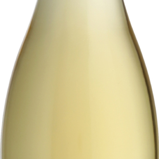 Champagne Andre Chemin Premier Cru Excellence Brut 2010