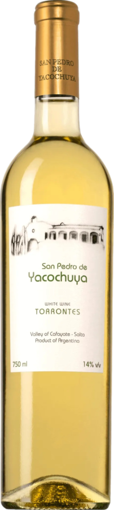 San Pedro de Yacochuya Torrontes 2021