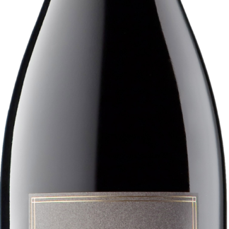 Shafer Relentless 2017