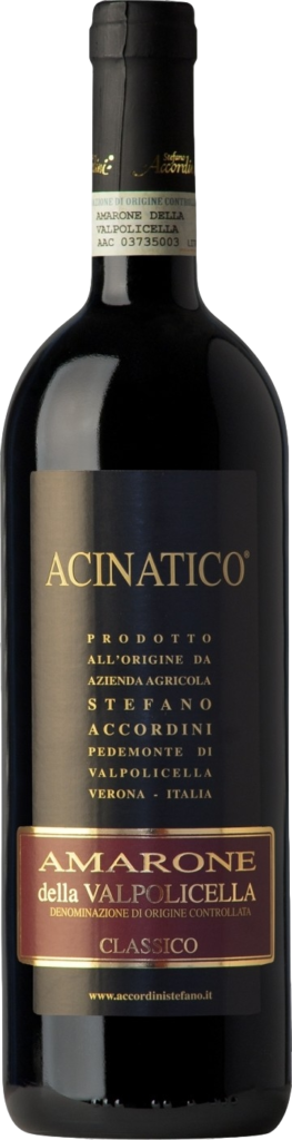 Stefano Accordini Acinatico Amarone della Valpolicella Classico 2020