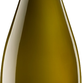 Rafael Palacios As Sortes 2022