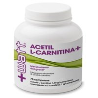 Acetil L Carnitina 75 comprimidos - +Watt