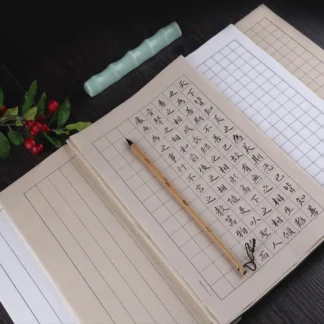 100 Sheets Small Regular Water Ink Brush Chinese Calligraphy Rice Xuan Paper 7-9 Fen Cooked Square Grid Vertical 20x33cm