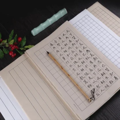 100 Sheets Small Regular Water Ink Brush Chinese Calligraphy Rice Xuan Paper 7-9 Fen Cooked Square Grid Vertical 20x33cm