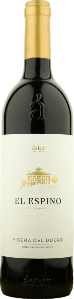 Aster El Espino 2020
