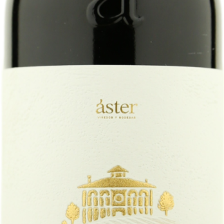 Aster El Espino 2020