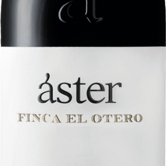 Aster Finca El Otero 2019