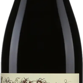 Domaine Pierre Guillemot Bourgogne Pinot Noir 2022