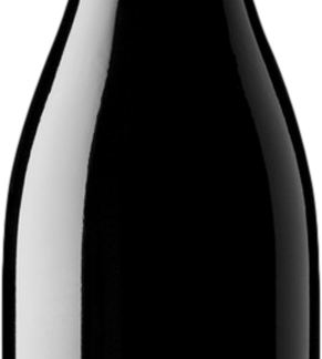 Artadi Santa Cruz de Artazu 2020