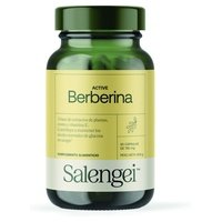 Active Berberina Aristata 60 cápsulas Salengei