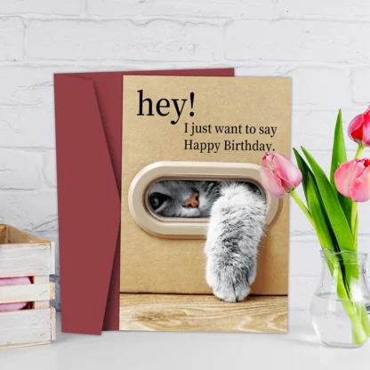 Tarjeta de cumpleaños de gato lindo, diseño de pata de gatito juguetón, tarjeta de feliz cumpleaños con sobre, el mejor regalo para amantes de los gatos, familia, amigos