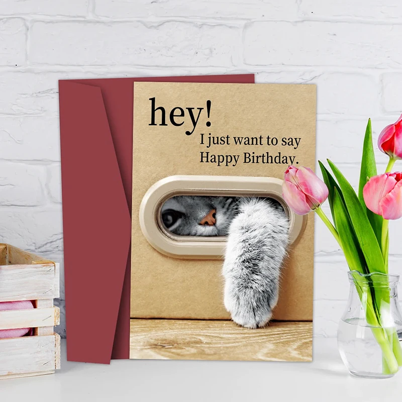 Tarjeta de cumpleaños de gato lindo, diseño de pata de gatito juguetón, tarjeta de feliz cumpleaños con sobre, el mejor regalo para amantes de los gatos, familia, amigos
