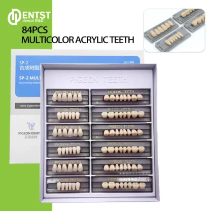 3 set/caja Dental resina sintética dientes boca completa SP2 SP3 S/M/L resina acrílica Dental materiales de odontología modelo educativo