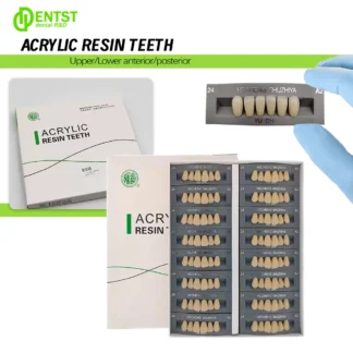 96 unids/caja de dientes de resina sintética Dental, Color multicapa, alta resistencia al desgaste, dientes posteriores anteriores, modelo de educación Dental