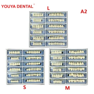 168 unids/caja dentadura postiza de resina sintética superior inferior A2 Artificial S/M/L Anterior Posterior enseñanza Dental dientes de resina acrílica