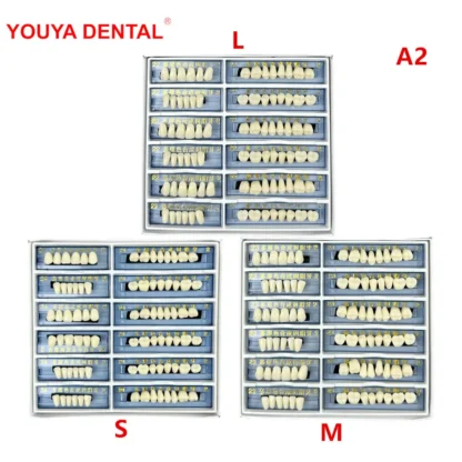 168 unids/caja dentadura postiza de resina sintética superior inferior A2 Artificial S/M/L Anterior Posterior enseñanza Dental dientes de resina acrílica