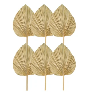 AB53 6 uds hojas de palma secas abanicos de palma secas naturales, lanza de palma grande para decoración de boda bohemia, decoración de hojas de palma tropicales S