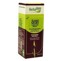 Álamo Negro Macerado Glicerinado 50 ml - Herbalgem