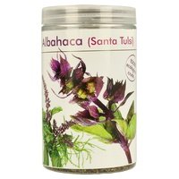 Albahaca Santa 70 g - Salud Viva