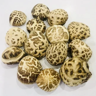 Hongo Shiitake blanco seco premium 3-4 cm
