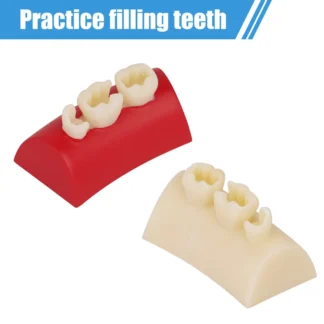Bloque de modelo de ejercicio con incrustaciones dentales, modelos de práctica de relleno de resina compuesta, odontología, enseñanza de dientes bucales, estudio Typodont