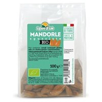 Almendras peladas 100 g - Sapore di Sole