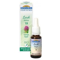Alerce orgánico 20 ml de elixir floral - Biofloral
