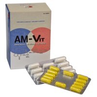 Am-Vit 100 + 24 comprimidos - Praxis