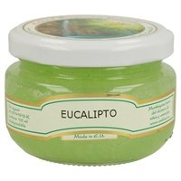 Ambientador de Eucalipto 100 ml - Ambisol