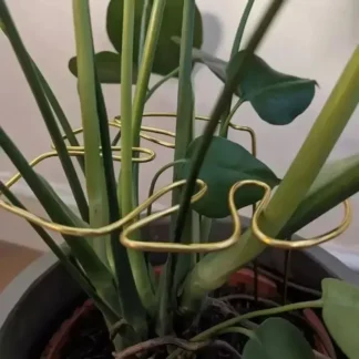 Poste de soporte Monstera, pila de soporte resistente en forma de Monstera, fácil instalación, soporte decorativo para plantas, soporte para plantas en forma de bambú