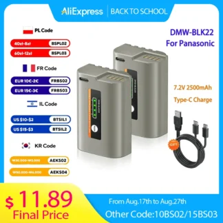 Batería de 2500mAh DMW BLK22 DMW-BLK22 + Cable de carga rápida tipo C para Panasonic LUMIX S5 S5 II S5 IIX DC-S5 DC-S5 II Lumix GH5 GH6